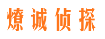 丰都市侦探调查公司